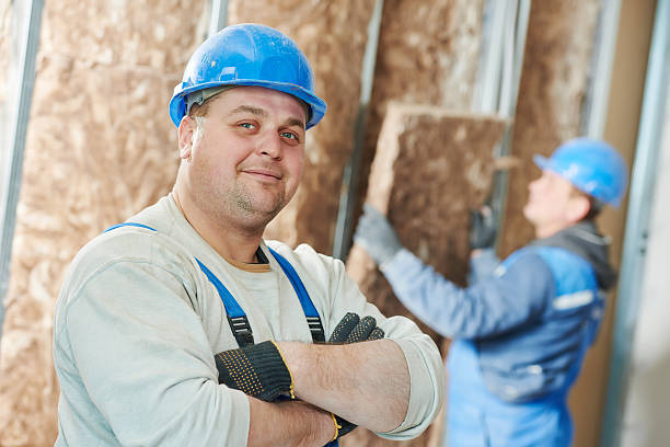 Best Eco-Friendly Insulation in Tuscola, IL