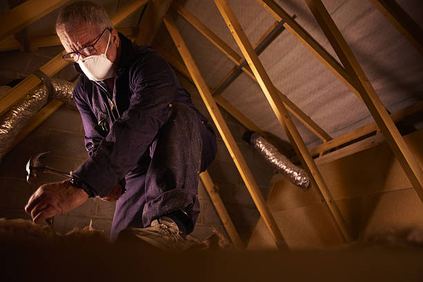Best Insulation Maintenance and Repair in Tuscola, IL